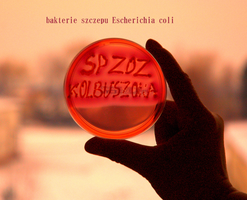 Laboratorium Mikrobiologiczne przy ul. Obrońców Pokoju 74a